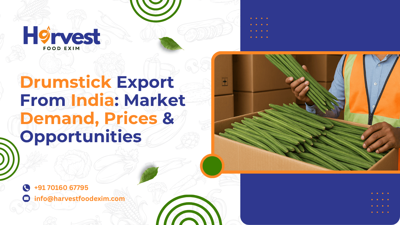 Drumstick Export From India to UAE: Market Demand, Prices and Opportunities