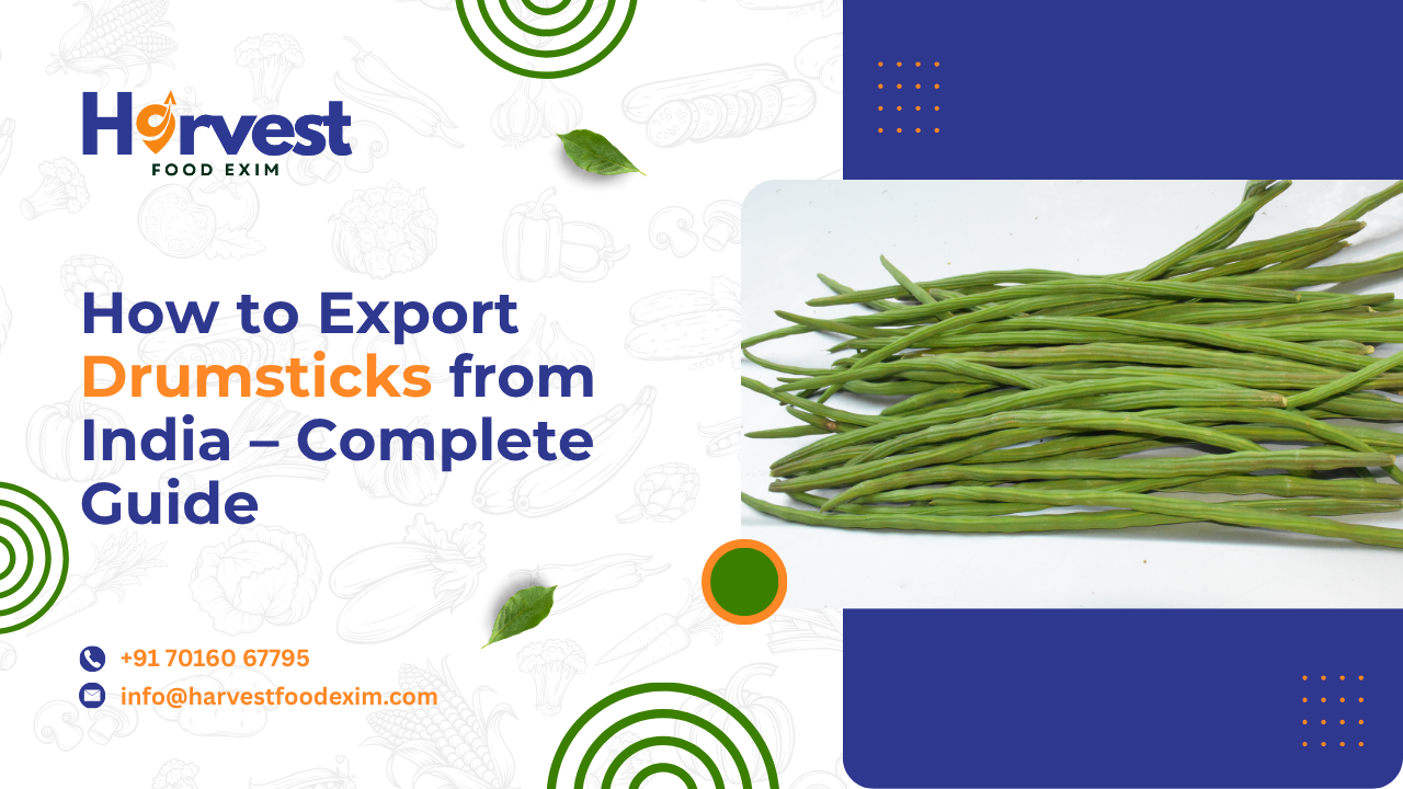 How to Export Drumsticks from India