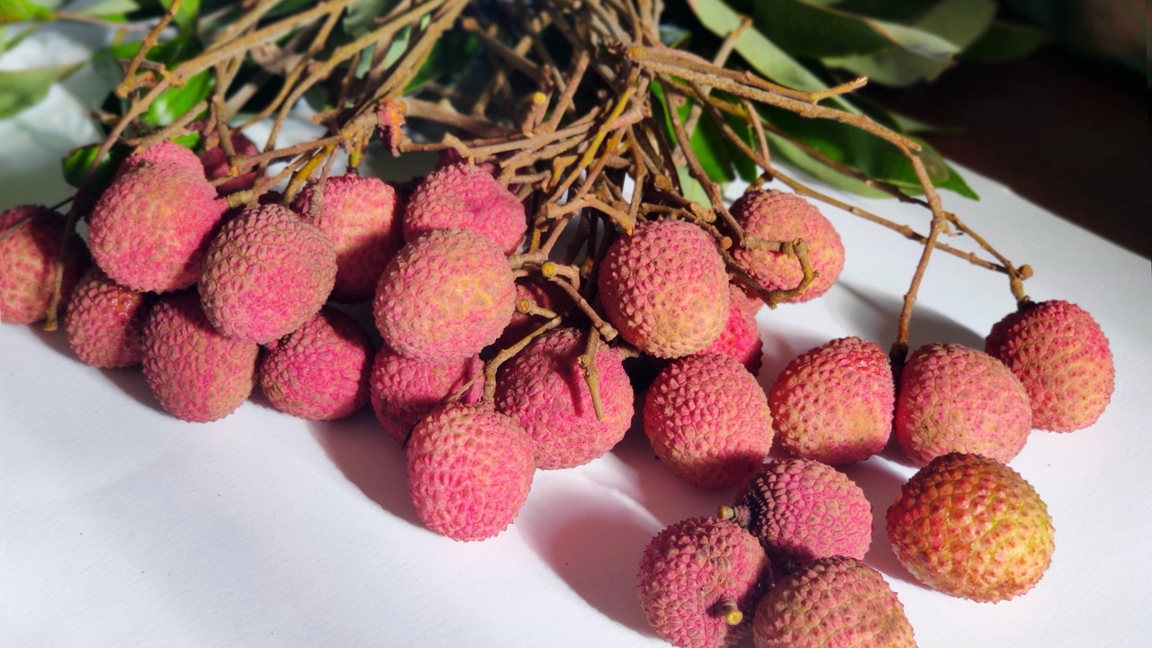 Litchi Packing Process