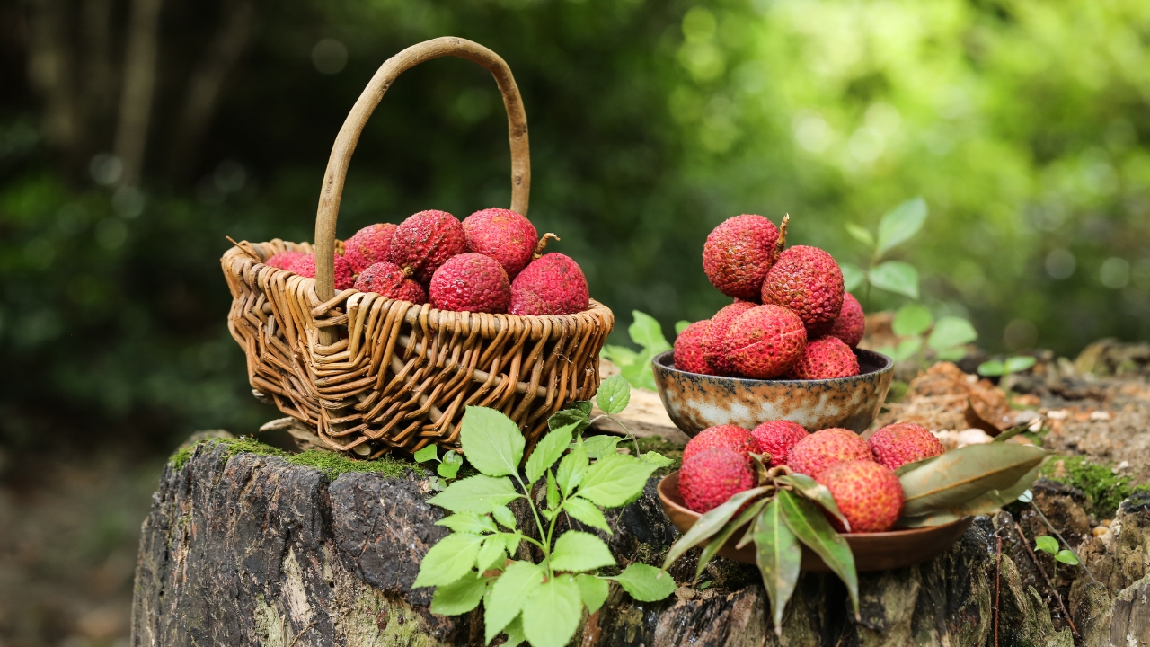 Packed Litchis for Export