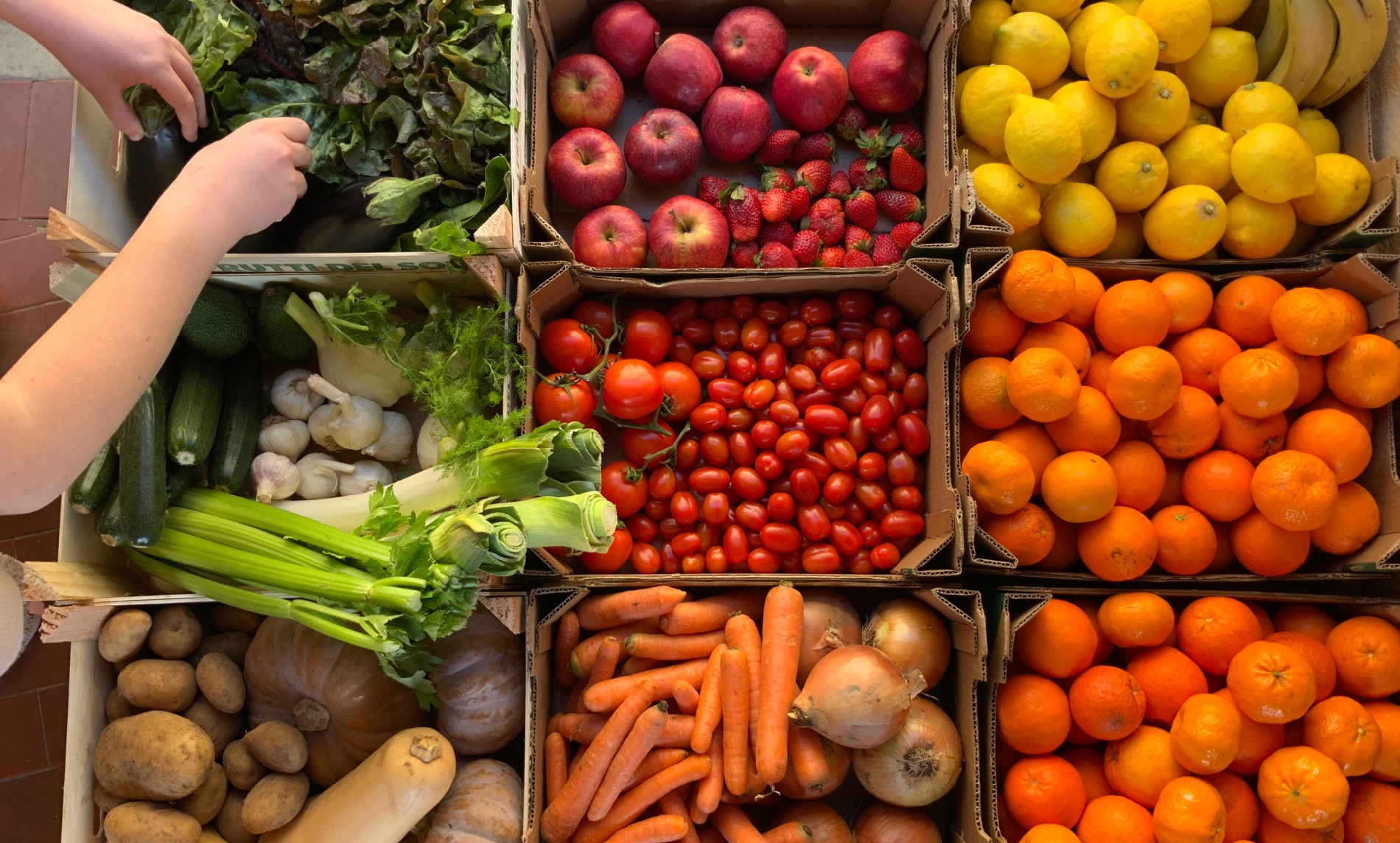 Fresh Produce