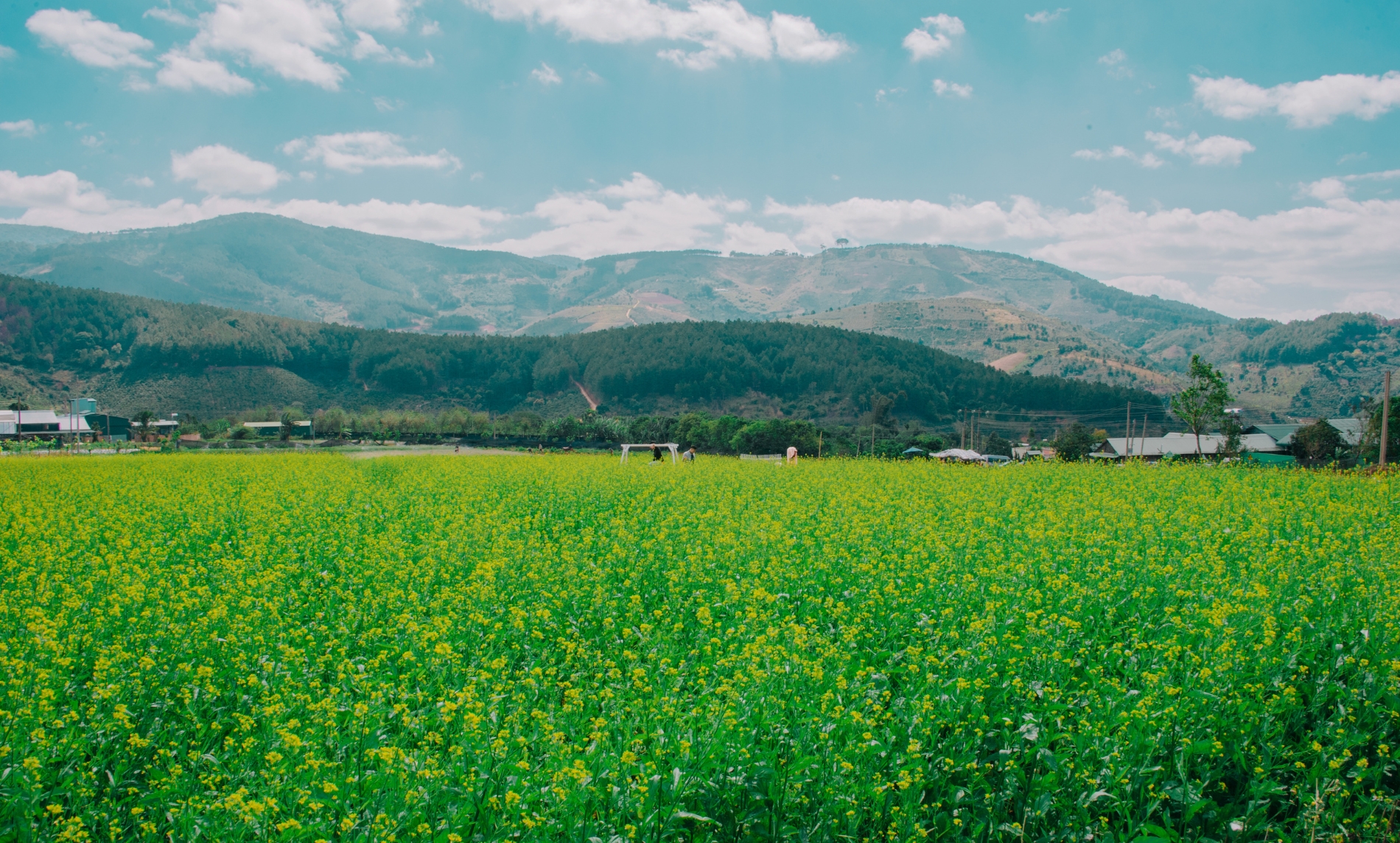 Farming Passion