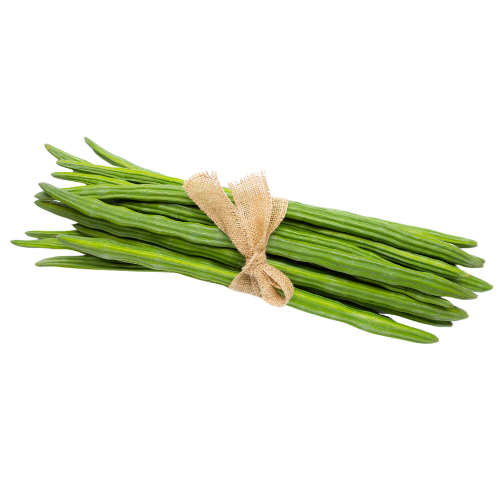 Drum Stick